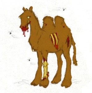 undead camel