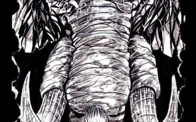 Reviews roll in for Defy the Grey Kings