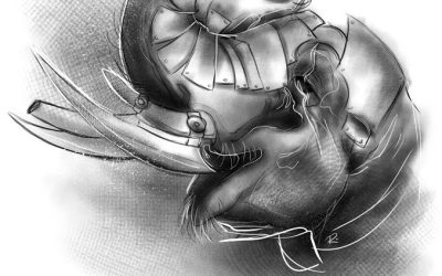 An update fit for an elephant!