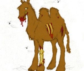 Feral Camels, Eat Their Flesh…